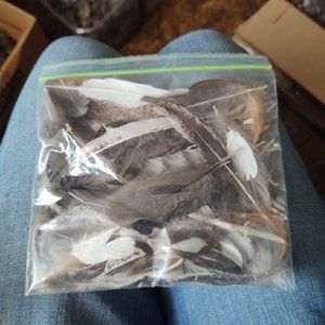 MIX BAG FEATHERS